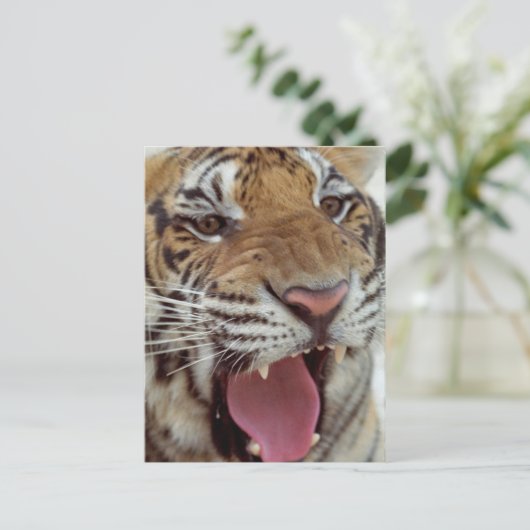 年賀状 ポストカード (スタンド正面)