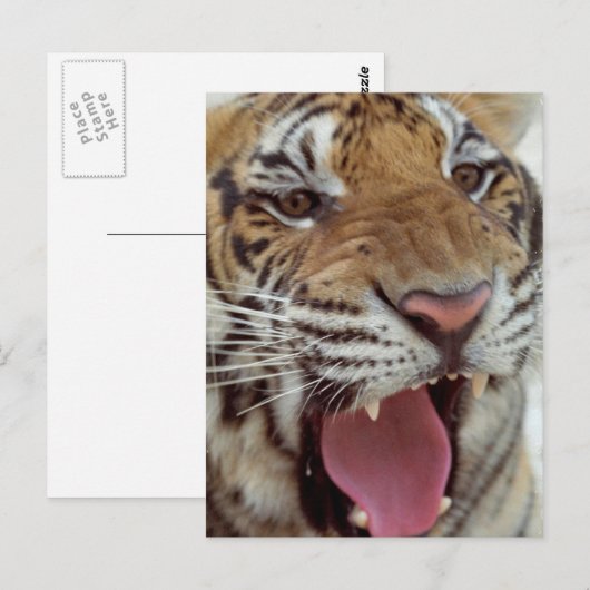 年賀状 ポストカード (正面/裏面)