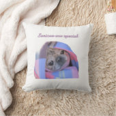 年長のパグの写真 クッション (ブランケット)