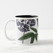 年長者、「若いLandsman」からの図13、publishe ツートーンマグカップ (左)