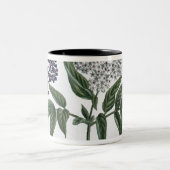 年長者、「若いLandsman」からの図13、publishe ツートーンマグカップ (中央)