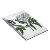 年長者、「若いLandsman」からの図13、publishe ノートブック (右側)