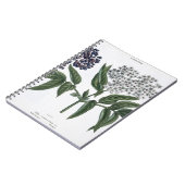 年長者、「若いLandsman」からの図13、publishe ノートブック (左側)