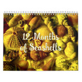 年間のシーシェル写真カレンダー カレンダー (カバー)