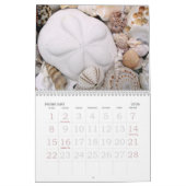 年間のシーシェル写真カレンダー カレンダー (2月 2026)