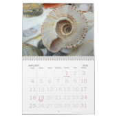 年間のシーシェル写真カレンダー カレンダー (1月 2026)