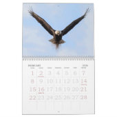 年間を通してハゲワシ カレンダー (2月 2026)