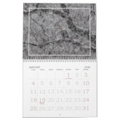 年間を通してハゲワシ カレンダー (1月 2026)