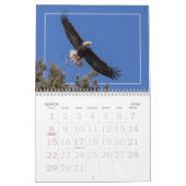 年間を通してハゲワシ カレンダー (3月 2026)