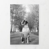 年間カードの大きなダン終了 三つ折りクリスマスカード (カバー)