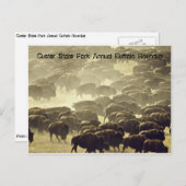 年間バッファローラウンドアップアットカスター州パーク ポストカード (正面/裏面)