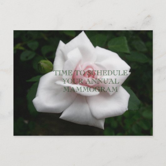 年間マンモグラム ポストカード (正面)