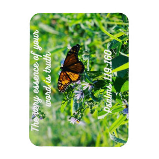 年間文字磁石2023 マグネット