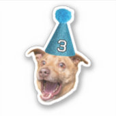 年齢カスタムパーティー帽子誕生日付き犬顔写真 シール (正面)