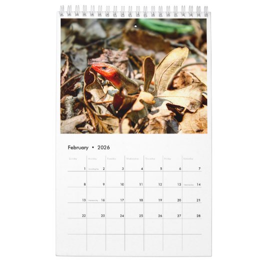 年 カレンダー (2月 2026)