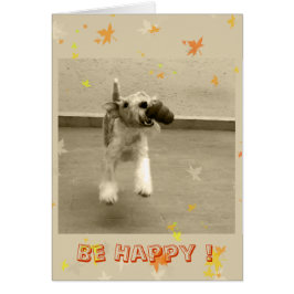 幸せがあって下さい!