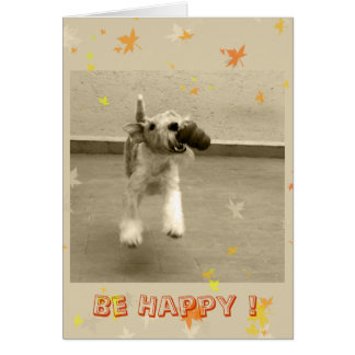 幸せがあって下さい!