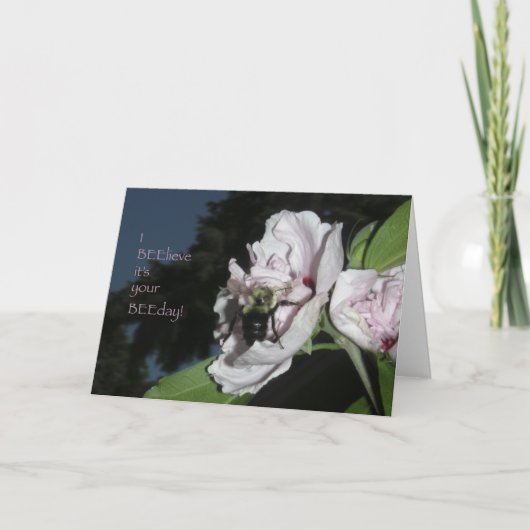 幸せじゃないといいな！ カード (正面)