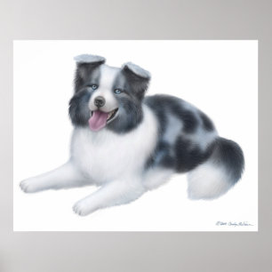 幸せで青いMerleのボーダーコリー犬のプリント ポスター