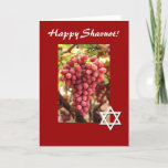 幸せでShavuot赤いブドウかダビデの星 シーズンカード<br><div class="desc">このかわいらしいレッド・カードは美しく赤いブドウおよびShavuotのユダヤ人の休日を祝うダビデの星を特色にします!  名前入りが望むものを言うためにある場合もありますの中で。 イメージはhttp://www.public-domain-image.com/からの許可の公有地です</div>