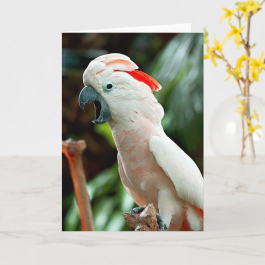 幸せなオウムの挨拶状 カード (黄色い花)