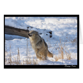 幸せなオオカミ