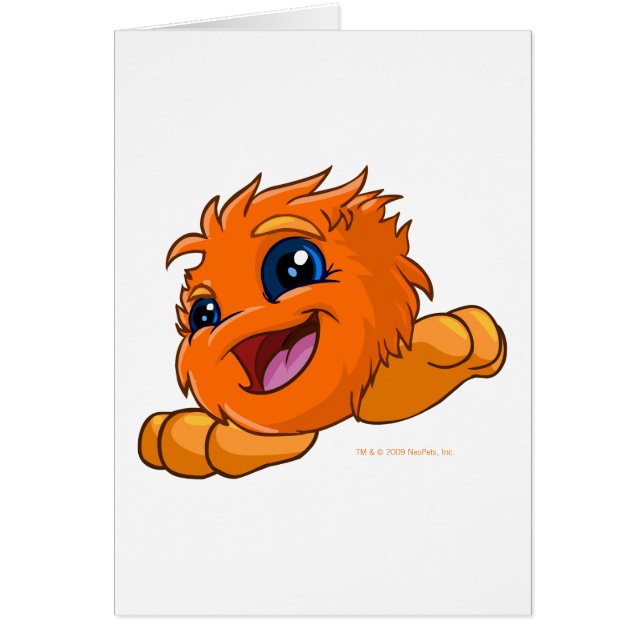 幸せなオレンジJubJub (正面)