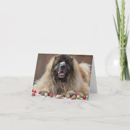 幸せなクッキーLeonberger シーズンカード