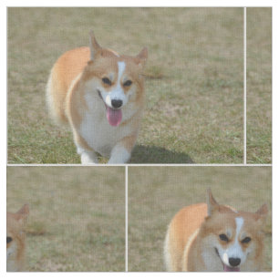幸せなコーギー ファブリック