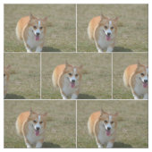 幸せなコーギー ファブリック (見本)
