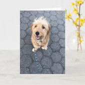 幸せなゴールデン·ドードル·ドッグ カード (黄色い花)