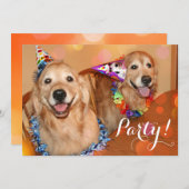 幸せなゴールデン・リトリーバーは誕生会の後をつけます 招待状 (正面/裏面)