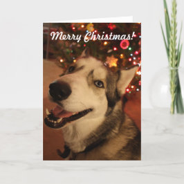幸せなシベリアンハスキーのクリスマスカード シーズンカード