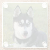 幸せなシベリアンハスキーの子犬 ガラスコースター (裏面)