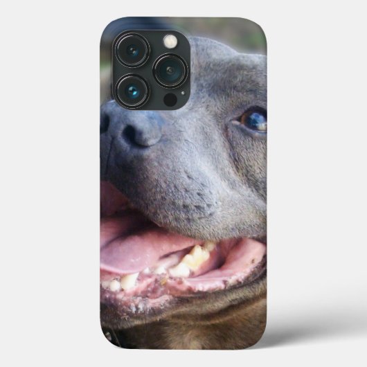 幸せなスタッフォードシャーブルテリア Case-Mate iPhoneケース (裏面)