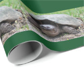 幸せなスッポンの包装紙 ラッピングペーパー (ロールコーナー)