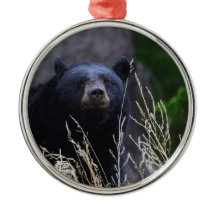 幸せなツキノワグマ