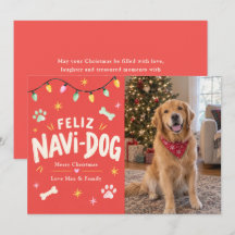 幸せなナビドッグのクリスマス ペットフォト