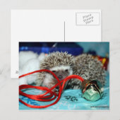 幸せなハリネズミの休日 シーズンポストカード (正面/裏面)