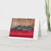 幸せなハリネズミ日! カード (裏面)