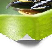 幸せなバグ フォトプリント            (角)