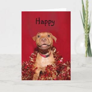 幸せなピットブルの子犬のクリスマス シーズンカード