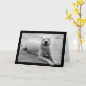 幸せなピットブルの挨拶状 カード (黄色い花)