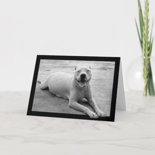 幸せなピットブルの挨拶状 カード (正面)