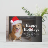 幸せなフェスティバルのウェルシュコーギー シーズンカード (スタンド正面)