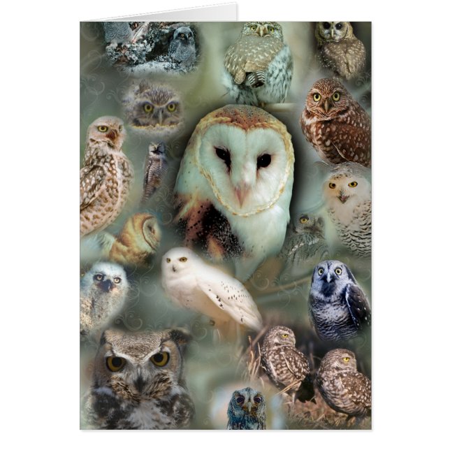 幸せなフクロウ (正面)