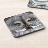 幸せなフクロウ コースター (左側)