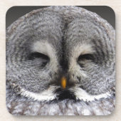 幸せなフクロウ コースター (正面)