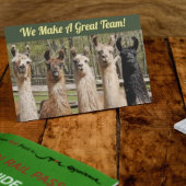 幸せなラマの群れ ポストカード