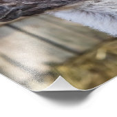 幸せなラマ フォトプリント            (角)